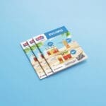 Insert broşür baskı